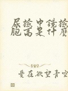 尿检中镜检白细胞高是什么意思