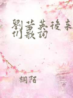 刘若英后来的我们歌词