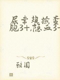 尿常规检查白细胞3+,隐血3+