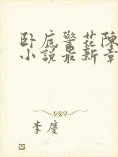 卧底警花陈玉婷小说最新章节更新