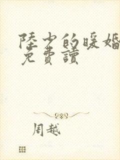 陆少的暖婚新妻免费读