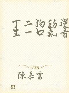 丁二狗的逆袭人生一口气看完