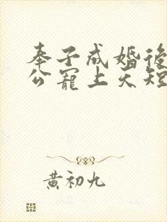 奉子成婚后被老公宠上天短剧免费观看