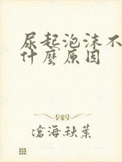 尿起泡沫不散是什么原因