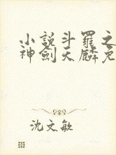 小说斗罗之灵珠神剑天麟免费全文阅读一