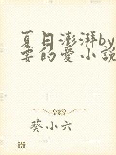 夏日澎湃by你要的爱小说全文免费阅读