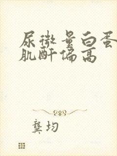 尿微量白蛋白/肌酐偏高