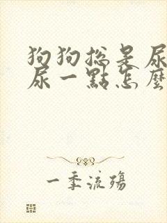 狗狗总是尿一点尿一点怎么办