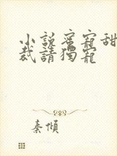 小说蜜宠甜妻总裁请独宠