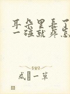 耳朵里长了个包一碰就疼怎么治疗