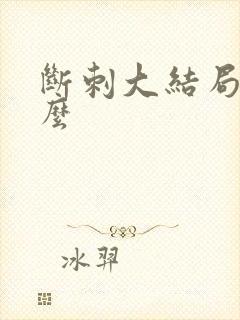 断刺大结局是什么