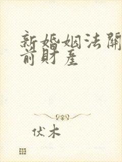 新婚姻法关于婚前财产