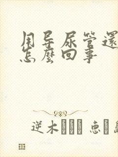 用导尿管还漏尿怎么回事