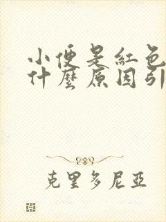 小便是红色的是什么原因引起的