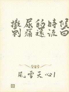 撒尿的时候尿道刺痛还流白色液体