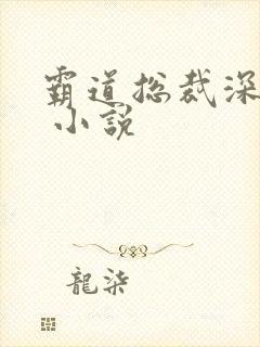 霸道总裁深深爱 小说