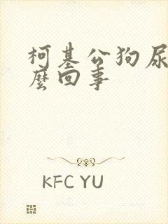 柯基公狗尿血怎么回事