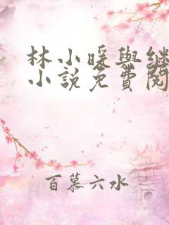 林小暖与继父的小说免费阅读
