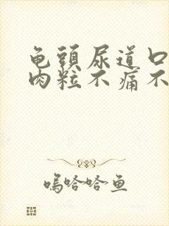 龟头尿道口长小肉粒不痛不痒