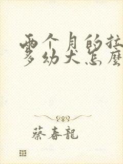 两个月的拉布拉多幼犬怎么训练