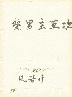 双男主互攻小说