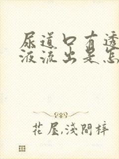 尿道口有透明粘液流出是怎么回事