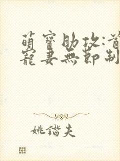 萌宝助攻:首席宠妻无节制