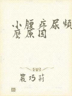 小腹疼尿频是什么原因