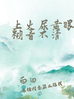 上火尿黄眼睛模糊看不清
