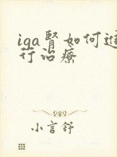 iga肾如何进行治疗