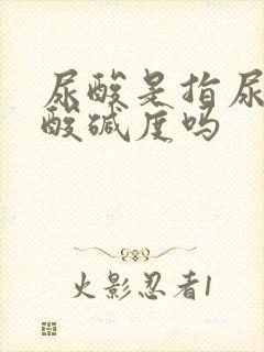 尿酸是指尿液的酸碱度吗