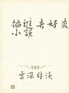 插进去好爽高潮小说