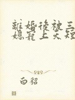 离婚后被三个儿媳宠上天短剧全集播放