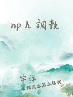 np h 调教