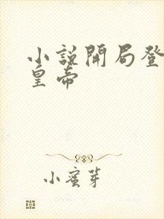 小说开局登基当皇帝