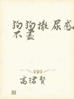 狗狗撒尿感觉尿不尽