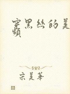 穿黑丝的美女视频