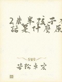 2岁半孩子不说话是什么原因