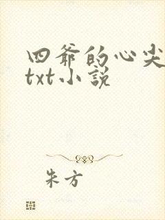 四爷的心尖宠妃txt小说