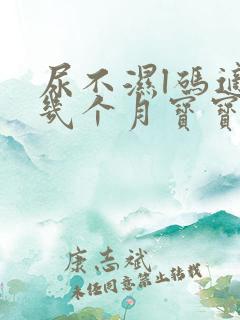 尿不湿l码适合几个月宝宝