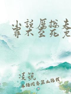 小说厉总夫人她罪不至死免费看