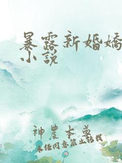 暴露新婚娇妻的小说