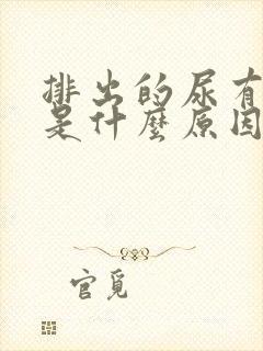 排出的尿有异味是什么原因