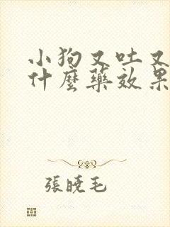 小狗又吐又拉吃什么药效果最好