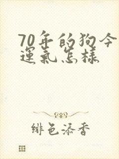 70年的狗今年运气怎样
