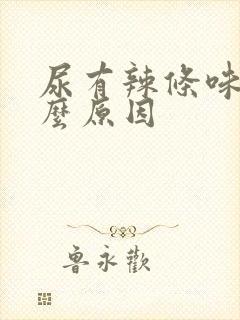 尿有辣条味是什么原因