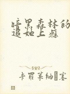 暗黑森林的小说追她上瘾