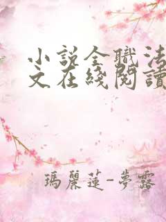 小说全职法师全文在线阅读