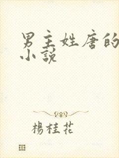 男主姓唐的所有小说