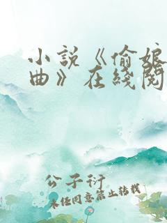 小说《偷娘三部曲》在线阅读全文